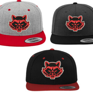 CLASSIC SNAPBACK 2-TONE 6089MT