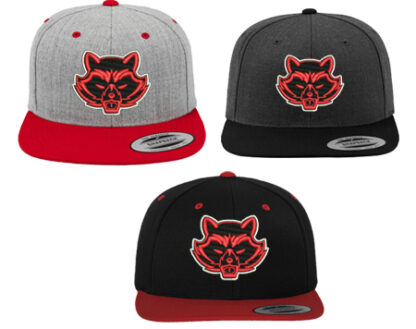 CLASSIC SNAPBACK 2-TONE 6089MT