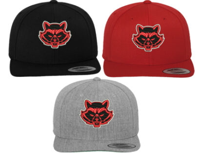 CLASSIC SNAPBACK 6089M