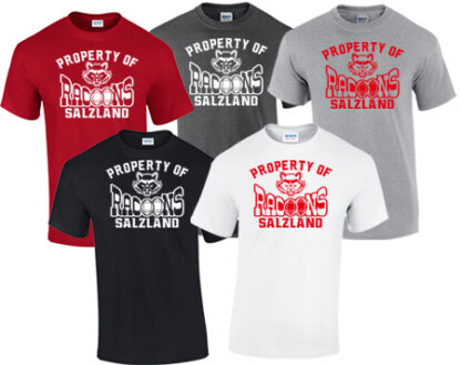1Heavy Cotton™ Adult T-Shirt G5000 PRO