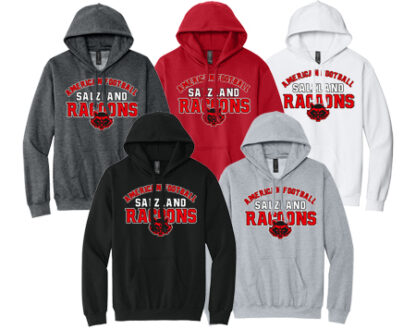 1Softstyle® Midweight Sweat Adult Hoodie SF500 OLD