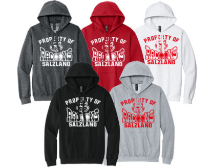 1Softstyle® Midweight Sweat Adult Hoodie SF500 PRO
