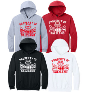 Softstyle®Youth Hoodie SF500B PRO